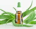 Dropper glass bottle and fresh aloe Vera leaves. Royalty Free Stock Photo