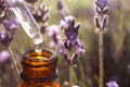 Dropper with lavender essential oil over bottle in blooming field. Space for text Royalty Free Stock Photo