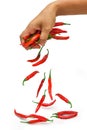 Dropping chillies by a hand on a white background.