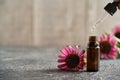 Dropping echinacea essential oil or tincture