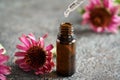 Dropping echinacea tincture or essential oil into a bottle