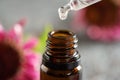 Dropping echinacea tincture or oil into a glass bottle