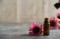 Dropping essential oil or herbal tincture into a glass bottle, with echinacea flowers