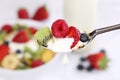 Dropping fruit yogurt on spoon for breakfast Royalty Free Stock Photo