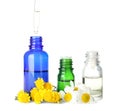 Dropping herbal essential oil into bottle and flowers isolated on Royalty Free Stock Photo
