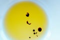 Drops of balsamic vinegar in a bowl of olive oil Royalty Free Stock Photo