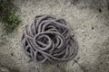 Coiled thick braided gray rope