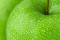 Drops on a green apple, macro Royalty Free Stock Photo