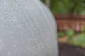 Drops on the greenhouse. Polycarbonate close-up. Drops close up. Background. Water. Evaporation in the greenhouse. Agriculture Royalty Free Stock Photo