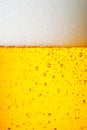 Drops of a Ice Cold Pint of Beer Royalty Free Stock Photo