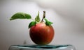 Drops on juicy apple with leaves on the stalk studio Royalty Free Stock Photo