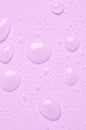 Drops of micellar water or cosmetic tonic on a pink background. Close-up, macro photography