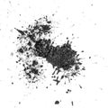 Drops of mud sprayed isolated on white background Royalty Free Stock Photo