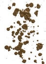 Drops of mud sprayed a white background Royalty Free Stock Photo