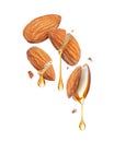Drops of oil dripping from cracked almonds in the air close-up isolated on a white background Royalty Free Stock Photo