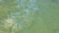 Drops of oil from the uss arizona on the water surface at pearl harbor Royalty Free Stock Photo