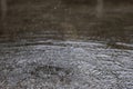 Drops Of Rain Drizzle on the glass windshield Royalty Free Stock Photo