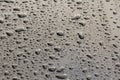 Drops of Rain or Water Drop on the Hood of the Car. Rain Drops o Royalty Free Stock Photo