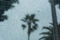 Drops of rain on the window; blurred palm trees in the background; shallow depth of field Royalty Free Stock Photo