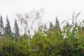 Drops of rain on the window, blurred trees on the background, California Royalty Free Stock Photo