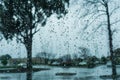 Drops of rain on the window; blurred trees in the background; shallow depth of field Royalty Free Stock Photo