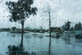 Drops of rain on the window; blurred trees in the background; shallow depth of field Royalty Free Stock Photo