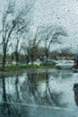 Drops of rain on the window; blurred trees in the background; shallow depth of field Royalty Free Stock Photo