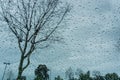 Drops of rain on the window; blurred trees in the background; shallow depth of field Royalty Free Stock Photo