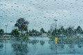 Drops of rain on the window; blurred trees in the background; shallow depth of field Royalty Free Stock Photo