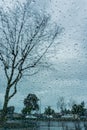 Drops of rain on the window; blurred trees in the background; shallow depth of field Royalty Free Stock Photo