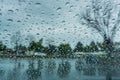 Drops of rain on the window; blurred trees in the background; shallow depth of field Royalty Free Stock Photo