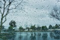 Drops of rain on the window; blurred trees in the background; shallow depth of field Royalty Free Stock Photo