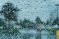 Drops of rain on the window; blurred trees in the background; shallow depth of field Royalty Free Stock Photo