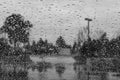 Drops of rain on the window; blurred trees in the background; shallow depth of field; black and white Royalty Free Stock Photo