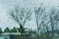 Drops of rain on the window; blurred trees in the background; shallow depth of field; California Royalty Free Stock Photo