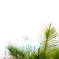 Drops of rain on window with.green leaf background abstract bokeh lights, copy space background for text Royalty Free Stock Photo