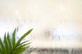 Drops of rain on window with.green leaf background abstract bokeh lights, copy space background for text Royalty Free Stock Photo