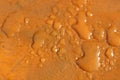 drops of rainwater accumulated on a wooden bench