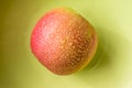 Drops on a red apple on a green plate Royalty Free Stock Photo