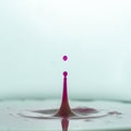 Drops of red water dripping into milk Royalty Free Stock Photo