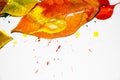 Drops of red, yellow and green paint are sprayed on a white background and the leaves of a tree. Royalty Free Stock Photo