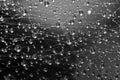 Drops on a spider web after rain, macro Royalty Free Stock Photo