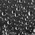 Drops on a spider web after rain, macro Royalty Free Stock Photo