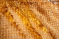 Drops of thick golden honey flowing along the frame of honeycombs. Honey pouring and dripping along honeycomb cells in Royalty Free Stock Photo