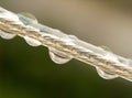 Drops on a washing line Royalty Free Stock Photo