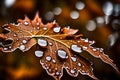 drops of water on autumn leaves GENERATED BY AI TOOL Royalty Free Stock Photo