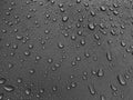 Drops of water on a black metal surface, beautiful background after rain Royalty Free Stock Photo