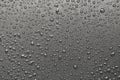 Drops of water on a black surface. Royalty Free Stock Photo