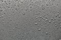Drops of water on a black surface. Royalty Free Stock Photo