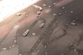Drops of water on the car glass window after rain Royalty Free Stock Photo